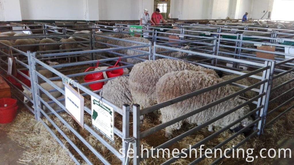 Tubular boskap gate fårhinder med sammanlåsande öglor för att sammanfogas helt svetsade